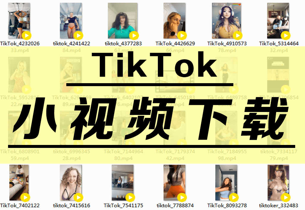 【下载】第十八期-TikTok美女小视频下载，1024部打包下载